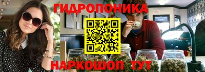 Альфа ПВП Новодвинск