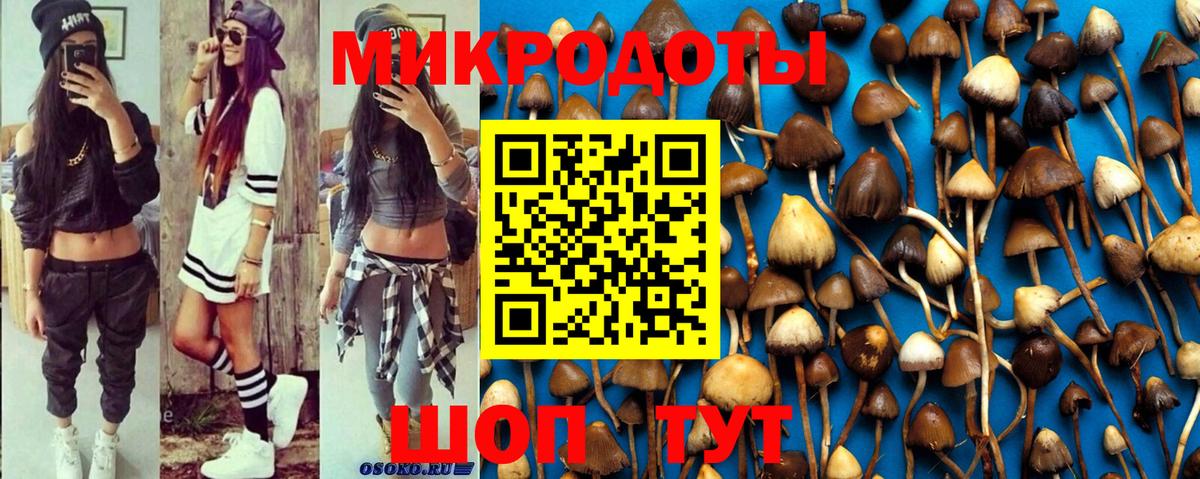 Трёхгорный  Псилоцибиновые грибы Psilocybe  Вход с VPN 