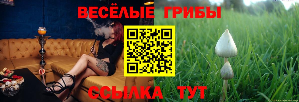 Галлюциногенные грибы Psilocybe Трёхгорный